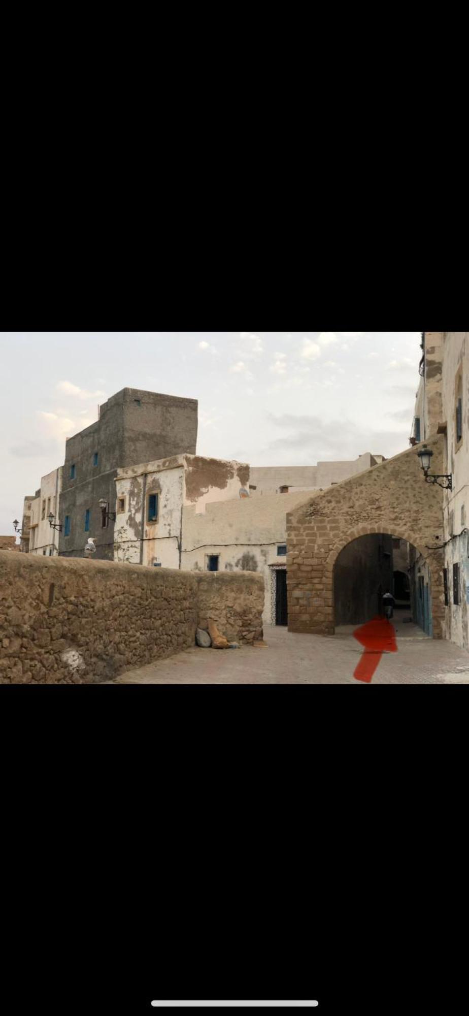 Dar Dada La Totalite Du Riad A Votre Disposition Et De Facon Exclusive Safi Dış mekan fotoğraf
